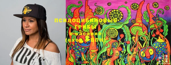 прущие крисы Нея
